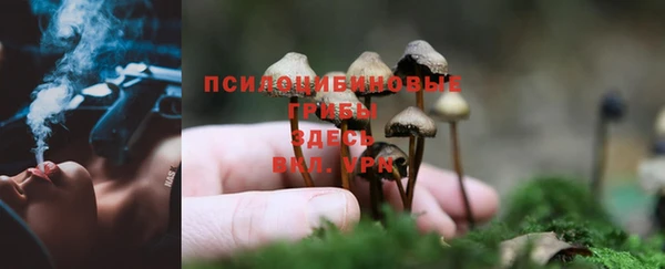 крисы Абинск