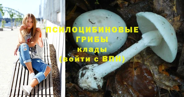 крисы Абинск
