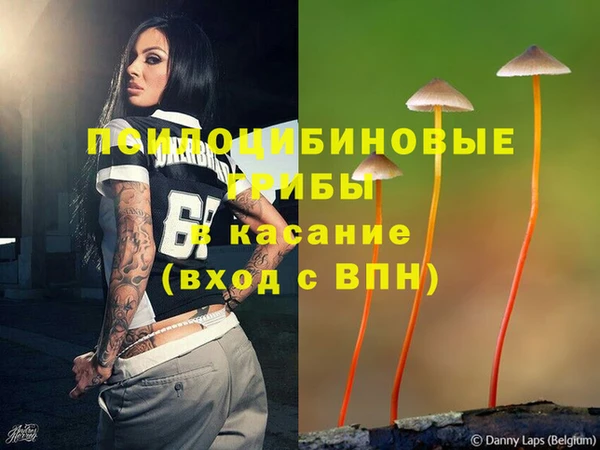 соль ск Абдулино