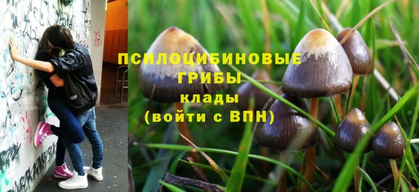 крисы Абинск
