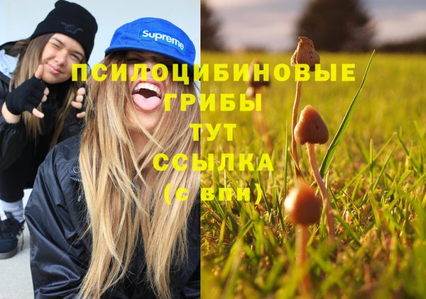 гашик Абаза
