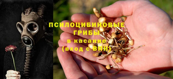 гашик Абаза