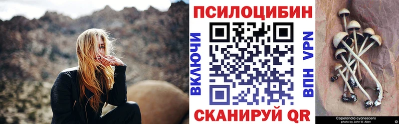 Галлюциногенные грибы Psilocybe  Серафимович 